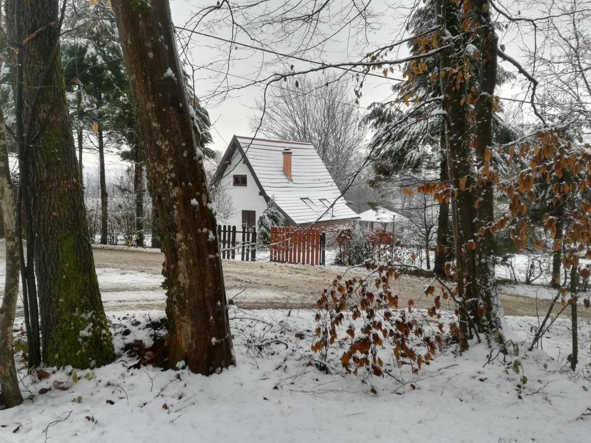 Carobna Suma *** Villa Karlovac Exterior photo